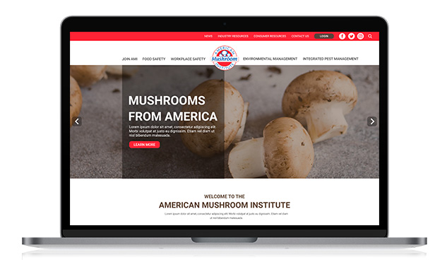 American Mushroom Institute